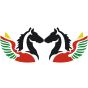 Air Burkina